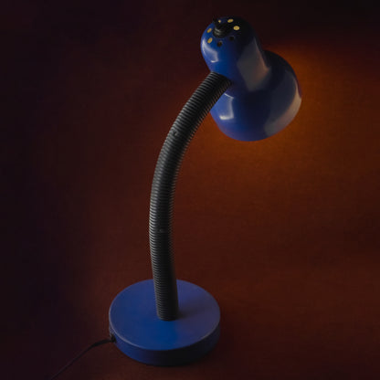 Vintage Blue Gooseneck Desk Lamp